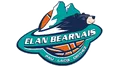 Élan béarnais